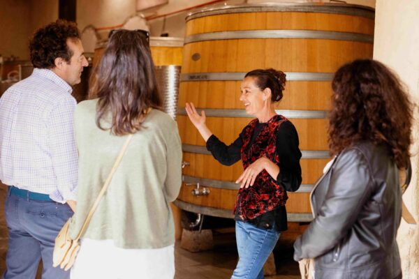 Wine tourism experience at the Domaine de l'A 1
