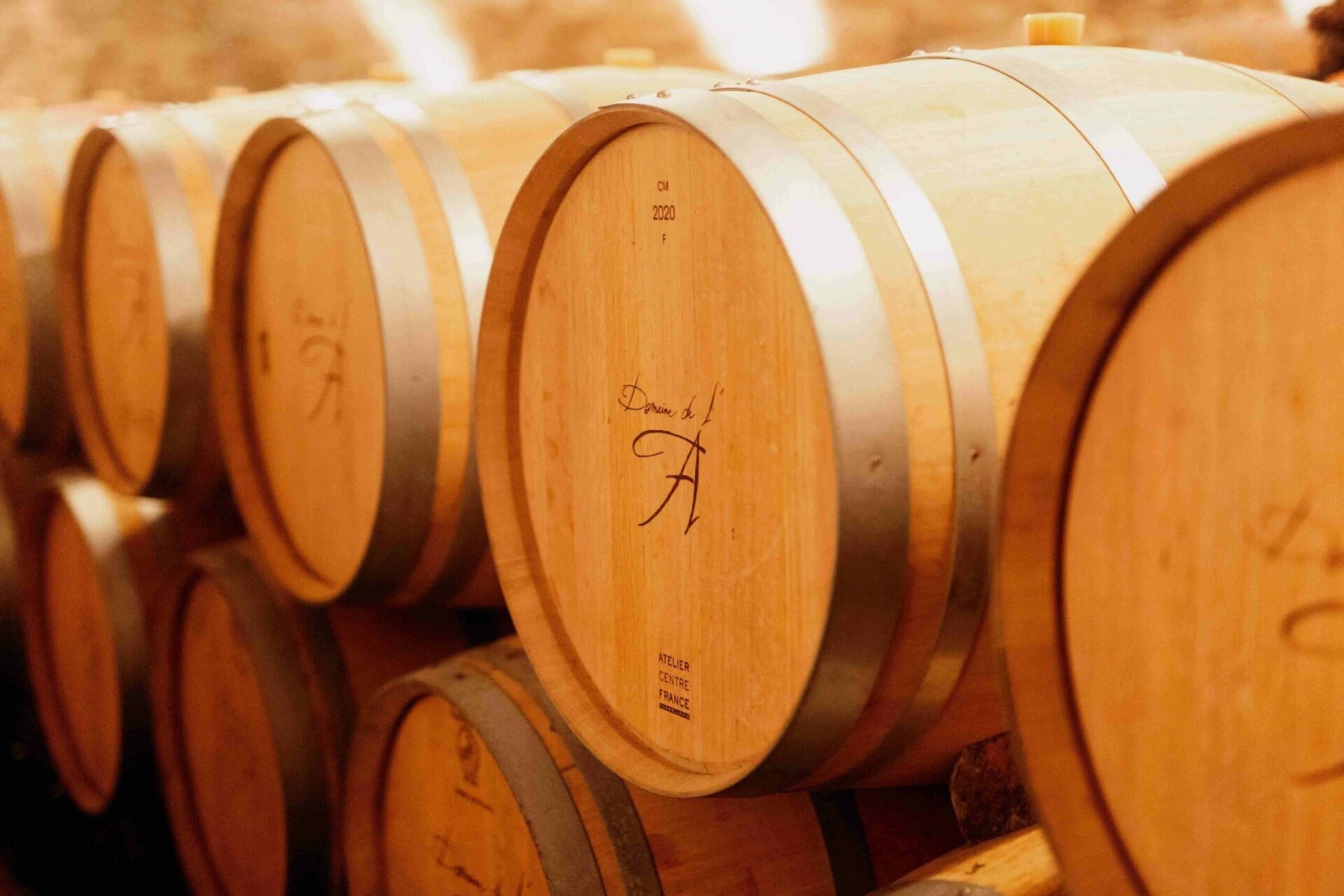 tinneaux vin domaine de l'a Tinneaux vin domaine de l'a