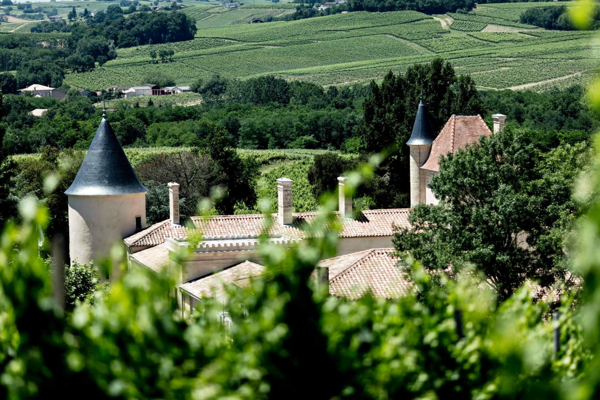 vue château vignoble malromé Vue Château vignoble Malromé